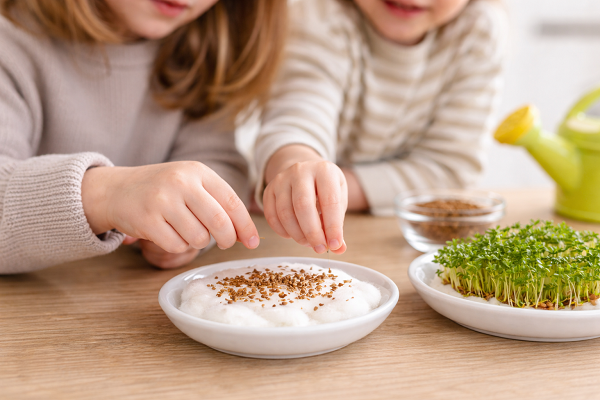 så karse , barn som sår karsefrø i skål