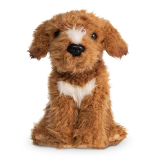 brun labradoodle bamse