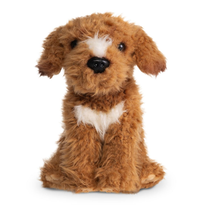 brun labradoodle bamse